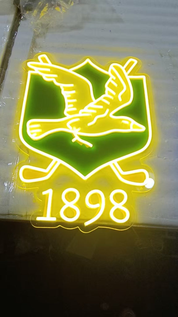 Neon character