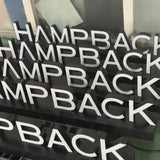 Stainless steel luminous characters