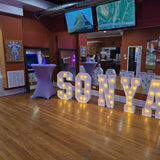 Light bulb character